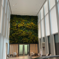 the 28 days experience my queen a testimonial 13