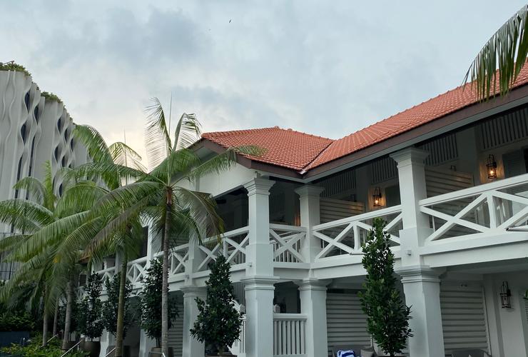 the 28 days experience my queen a testimonial 4