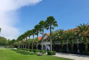 the 28 days experience my queen a testimonial 5