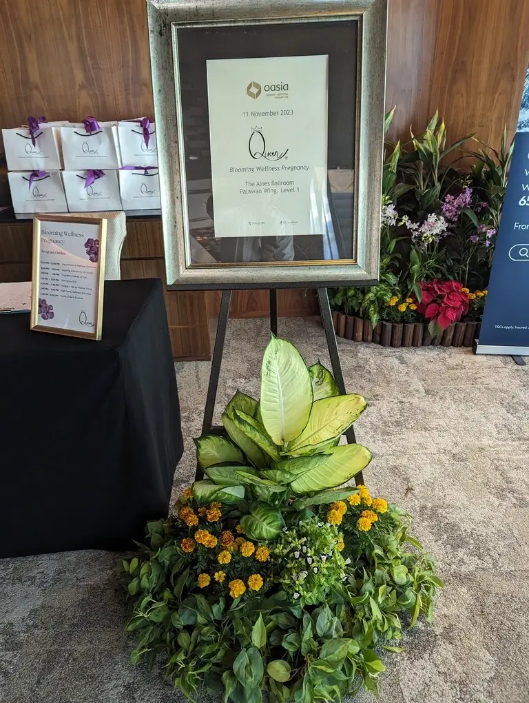 pxl 20231111 065017246